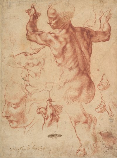 Études pour la Sibylle Libyenne (recto), vers 1510-11 - Michelangelo Buonarroti